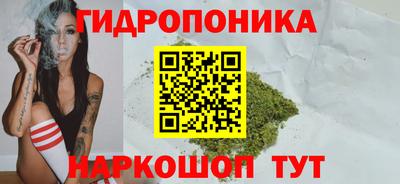 ECSTASY Пушкино