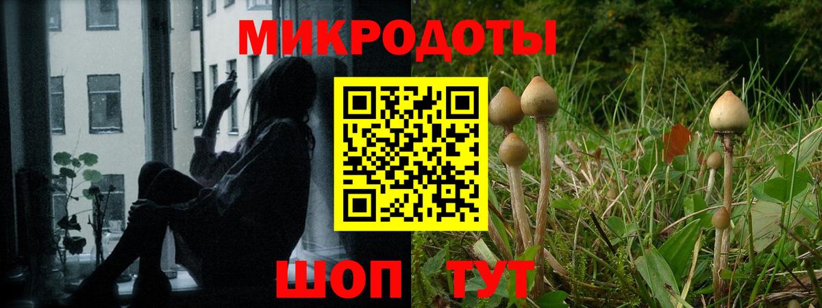 Галлюциногенные грибы GOLDEN TEACHER Сибай